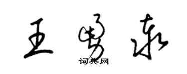 梁錦英王勇泰草書個性簽名怎么寫