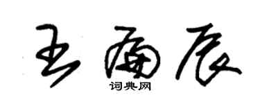 朱錫榮王扁辰草書個性簽名怎么寫