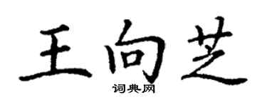 丁謙王向芝楷書個性簽名怎么寫