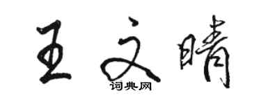 駱恆光王文晴行書個性簽名怎么寫