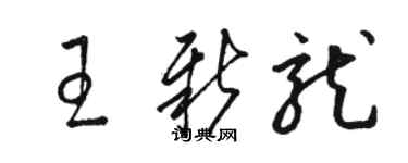 駱恆光王新龍草書個性簽名怎么寫