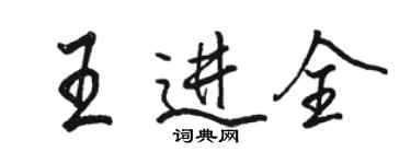 駱恆光王進全行書個性簽名怎么寫