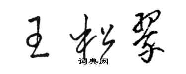 駱恆光王松翠草書個性簽名怎么寫