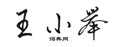 駱恆光王小舉行書個性簽名怎么寫