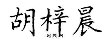 丁謙胡梓晨楷書個性簽名怎么寫