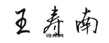 駱恆光王壽南行書個性簽名怎么寫