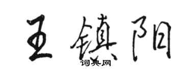 駱恆光王鎮陽行書個性簽名怎么寫