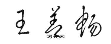 駱恆光王善暢草書個性簽名怎么寫