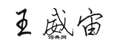 駱恆光王威宙行書個性簽名怎么寫