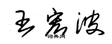 朱錫榮王宏波草書個性簽名怎么寫