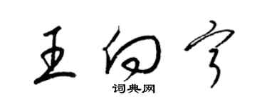 梁錦英王向寧草書個性簽名怎么寫