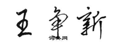 駱恆光王爭新行書個性簽名怎么寫