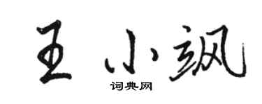 駱恆光王小颯行書個性簽名怎么寫
