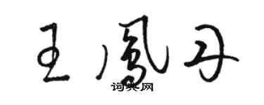 駱恆光王鳳丹草書個性簽名怎么寫