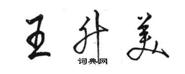 駱恆光王升美行書個性簽名怎么寫