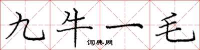 龐中華九牛一毛楷書怎么寫