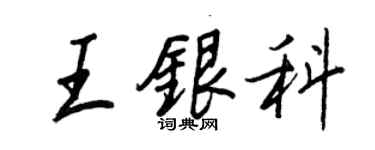 王正良王銀科行書個性簽名怎么寫