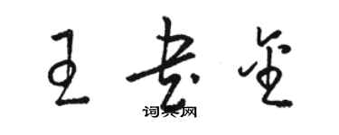 駱恆光王書金草書個性簽名怎么寫