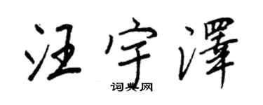 王正良汪宇澤行書個性簽名怎么寫
