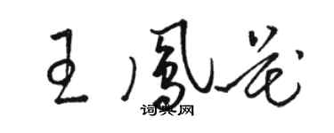 駱恆光王鳳花草書個性簽名怎么寫