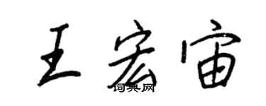 王正良王宏宙行書個性簽名怎么寫