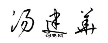 梁錦英湯建華草書個性簽名怎么寫