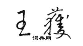 駱恆光王獲草書個性簽名怎么寫