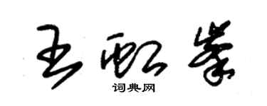 朱錫榮王虹峰草書個性簽名怎么寫
