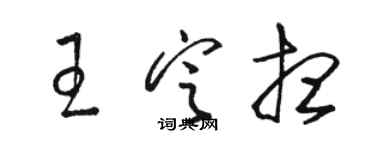 駱恆光王定想草書個性簽名怎么寫