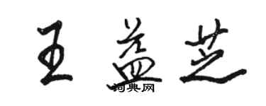 駱恆光王益芝行書個性簽名怎么寫