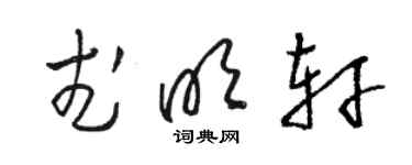 駱恆光武明軒草書個性簽名怎么寫