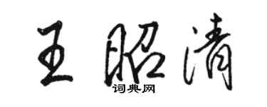 駱恆光王昭清行書個性簽名怎么寫