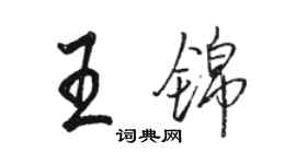 駱恆光王錦行書個性簽名怎么寫