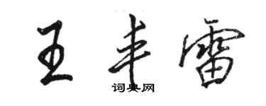 駱恆光王豐雷行書個性簽名怎么寫