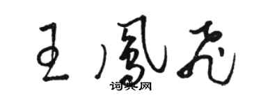 駱恆光王鳳飛草書個性簽名怎么寫