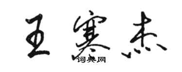 駱恆光王寒傑行書個性簽名怎么寫