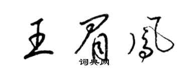 梁錦英王眉鳳草書個性簽名怎么寫