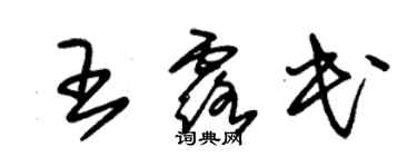 朱錫榮王露民草書個性簽名怎么寫