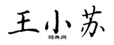 丁謙王小蘇楷書個性簽名怎么寫