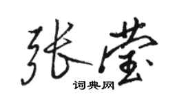 駱恆光張瑩行書個性簽名怎么寫