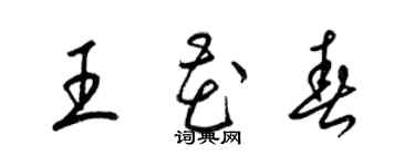 梁錦英王花春草書個性簽名怎么寫