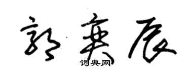 朱錫榮郭奕辰草書個性簽名怎么寫