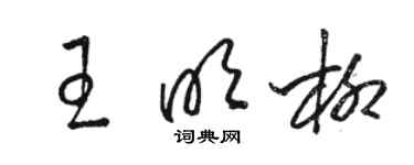 駱恆光王明柳草書個性簽名怎么寫