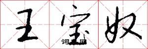 王寶奴怎么寫好看
