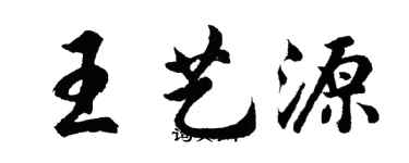 胡問遂王藝源行書個性簽名怎么寫