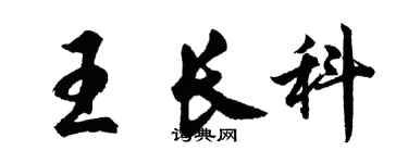 胡問遂王長科行書個性簽名怎么寫