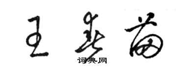 駱恆光王春苗草書個性簽名怎么寫