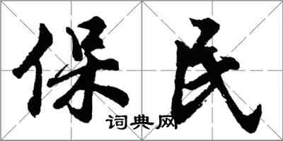 胡問遂保民行書怎么寫