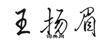 駱恆光王揚眉行書個性簽名怎么寫