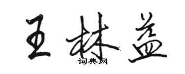 駱恆光王林益行書個性簽名怎么寫